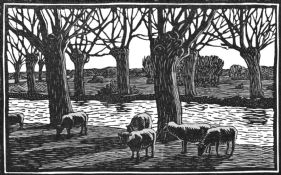 wood-engraving of Sheep by a River